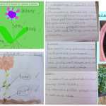 Year 1 Science Plant Investigation 1